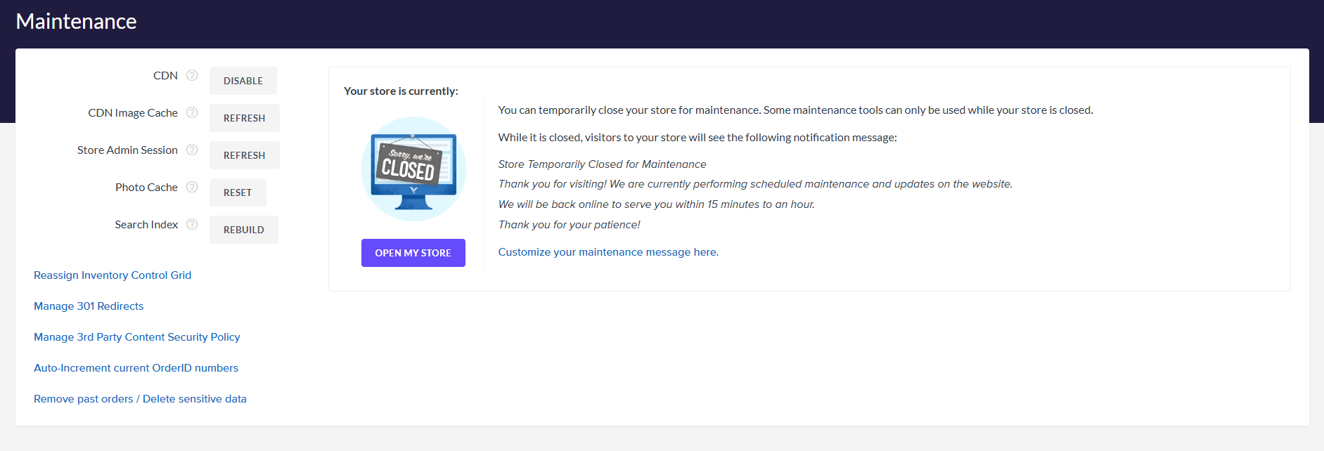 Placing the store in Maintenance Mode to access additional options 