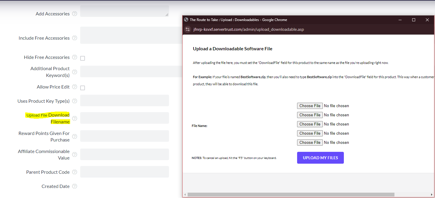 Upload Download Filename Button